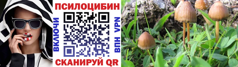 Галлюциногенные грибы мухоморы  наркотики  Нариманов 